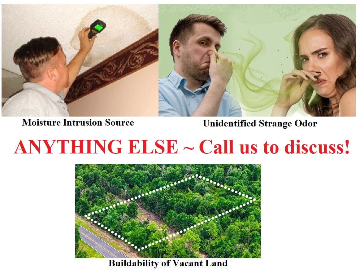 Anything Else — Moisture Intrusion Source, Unidentified Strange Odor, Buildability of Vacant Land — Call us to discuss!